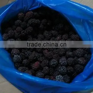 High Quality Frozen IQF Balckberries, thumbnail-2