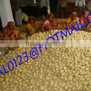 BANGLADESHI HIGH QUALITY FRESH GRANOLA POTATO AND DIAMOND POTATO FROM EXPORT TRADE ASSOCIATE WITH CHEAP PRICE thumbnail-2
