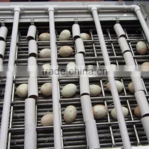 Low Breakage Boiled Egg Peeler Machine thumbnail-4