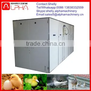 Commercial Egg Incubator for Sale Egg Incubator Hatchery Price thumbnail-2