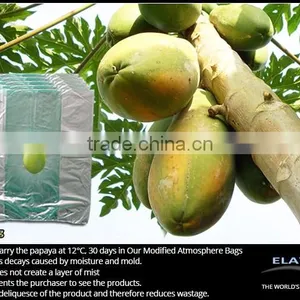 Mango Bag thumbnail-6