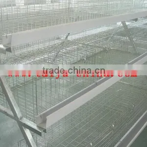 TAIYU Poultry House Cage for Growing Broiler thumbnail-1
