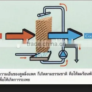 Refrigeration Cooling Pad for Poultry and Green House thumbnail-6