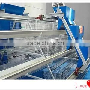 Easy Operate Automatic Feeding Machine for Chicken thumbnail-2