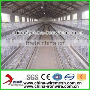 Poultry Cage thumbnail-1