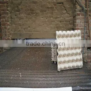 Waterproof Package 30 Pieces Paper Egg Tray thumbnail-3