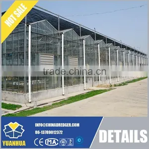Multi Span Polycarbonate Sheet Greenhouse thumbnail-2