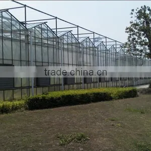 Best Service Commercial Glass Greenhouses With ISO Quality Guaranteed thumbnail-1