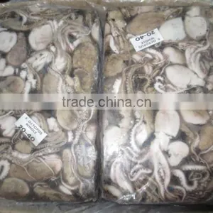 Frozen Octopus Whole thumbnail-1