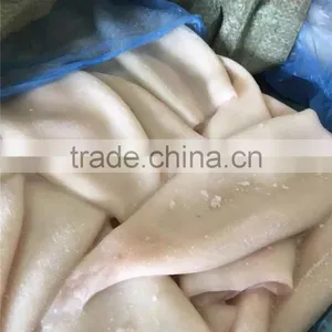 High Quality Squid Tube From China on Hot Sale thumbnail-2