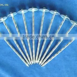 Umbrella Roofing Nails 2.5 thumbnail-4