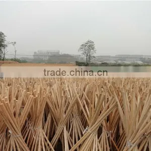 Broom Handle Cap thumbnail-6
