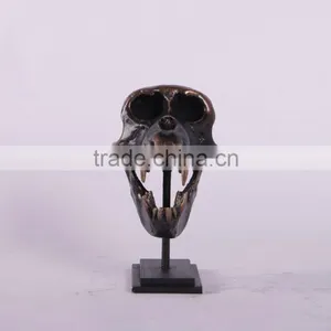 Macaque Skull on Base thumbnail-4