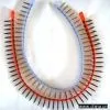 Sell Collated Drywall Screw thumbnail-1
