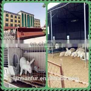 Top Quality Kidassia Goat Fur Plates/Natural Goat Fur Plates thumbnail-6