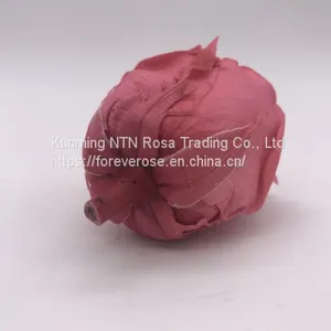 Preserved Fresh Flower Home Decoration Wedding Gifts thumbnail-4