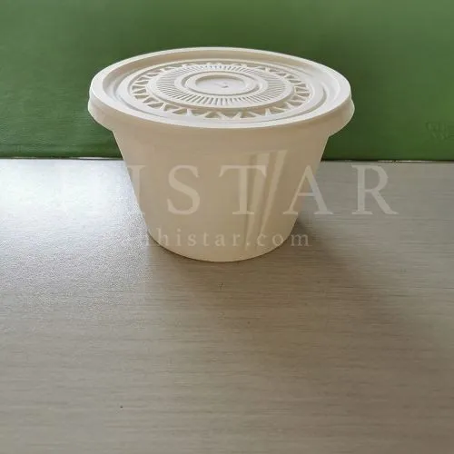 Eco-friendly Biodegradable Disposable Dessert Bowl photo-2