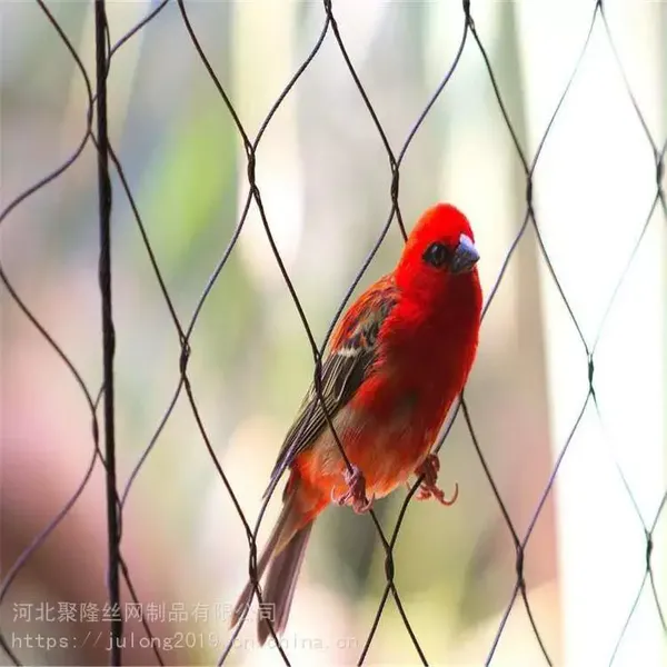 Good Quality Manufacturer Supply Plain Weave 316 304 Rope Mesh Net/Stainless Steel Wire Mesh
