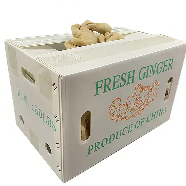 Custom Recycled Corrugated Plastic Boxes for Fresh Ginger and Vegetable Transport