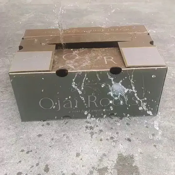 Breathable Vegetable Carton for Farm Handling and Cold Chain Delivery Wax Impregnated photo-2