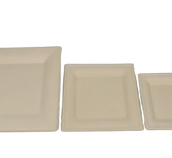 Sugarcane Pulp Square Cake Board 10cm x 10cm Shallow Recessed Tray Molded Under 1500T Pressing Force photo-5