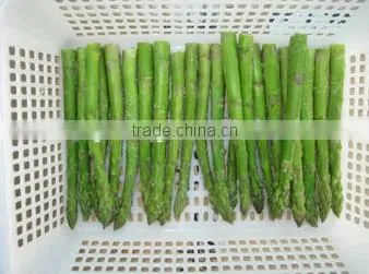 Frozen Asparagus Whole