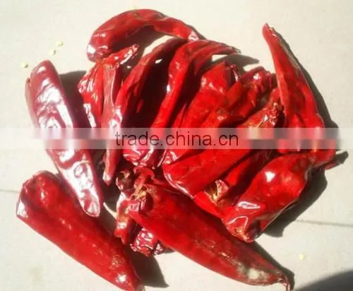 China New Crops,dry Hot Red Chaotian Tianying Tianjin Chilli photo-2