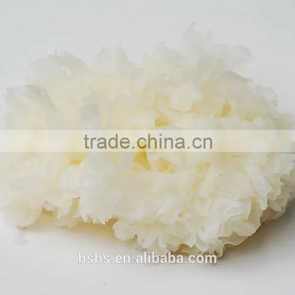 Top Quality Tremella Chinese White Fungus photo-3