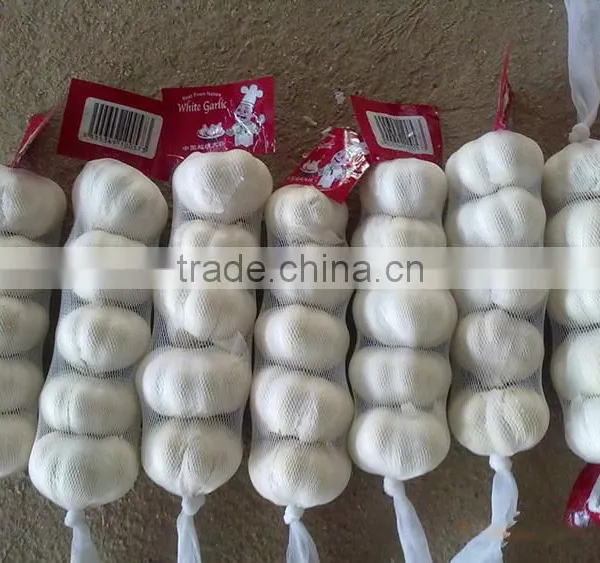 2016 Pure White Garlic 3P/4P/5P/ in 10kg Carton photo-3