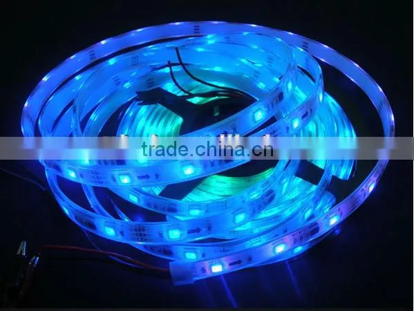 Pool Swiming Led Strip White PCB Silicon Coating 30leds/meter Outdoor Lighting Waterproof Ip68 Ws2811 Flexible Strip photo-5