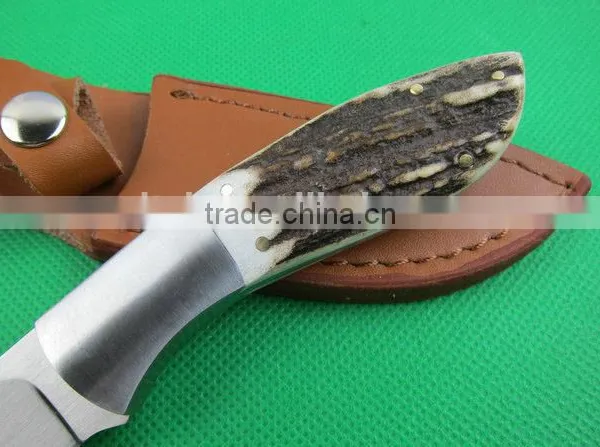 OEM Small Straight Knife, Antler Handle Hunting Knife UD401777 photo-5