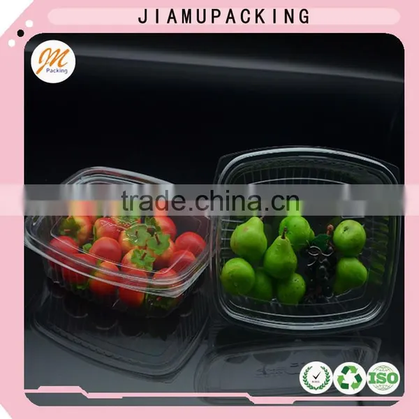 Hot Selling Disposable Clear Plastic Fruit Container photo-2