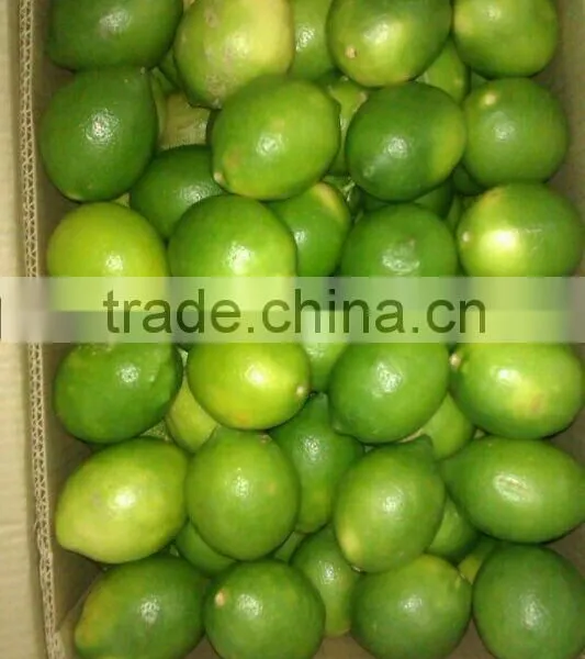 Fresh Lime photo-2