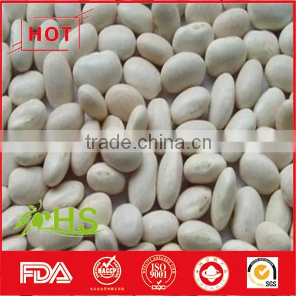 Chinese White Kidney Beans of Wholesale Price photo-2
