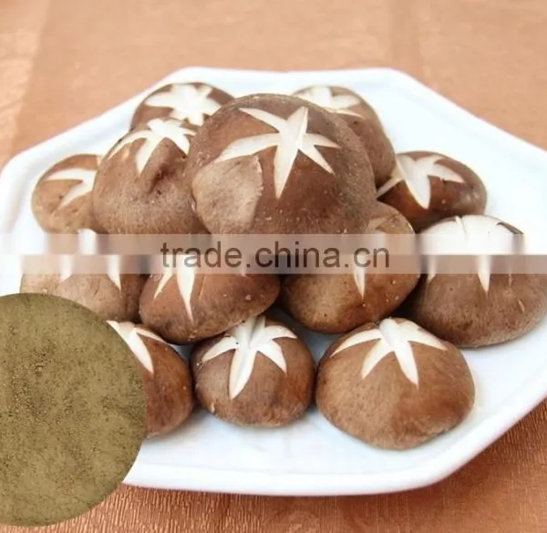 Pure Natural Shitake Mushroom Powder / Shitake Mushroom Extract / Polysaccharides photo-2