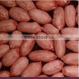 Blanched Peanut photo-4