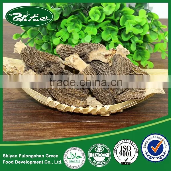 Dried Morel Mushroom for Sale Made in China