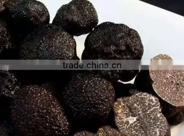 Frozen Truffle