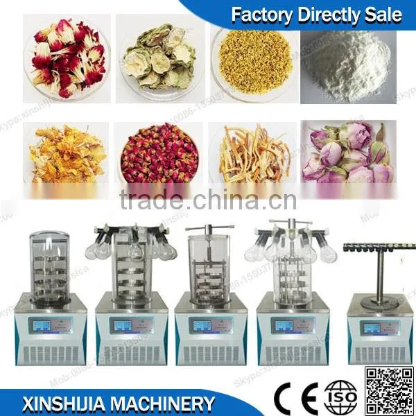 Durable cheap sale small freeze drying machine