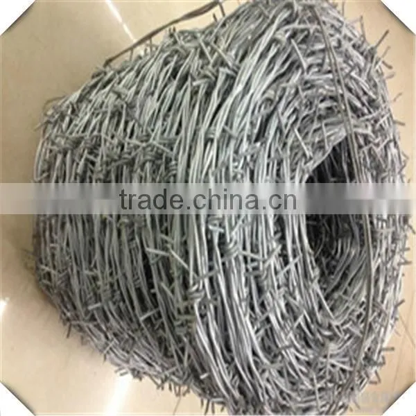 High Quality Galvanized Barbed Wire for Sale / Barbed Wire Price photo-5