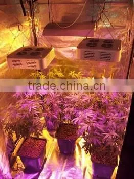 Cob Grow Led Lights 300w Led Grow Light Full Spectrum for Medical Plants photo-5