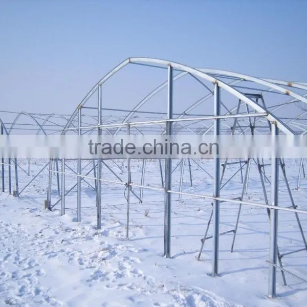 Galvanized Steel Pipe for Greenhouse/frame Steel Pipe photo-4