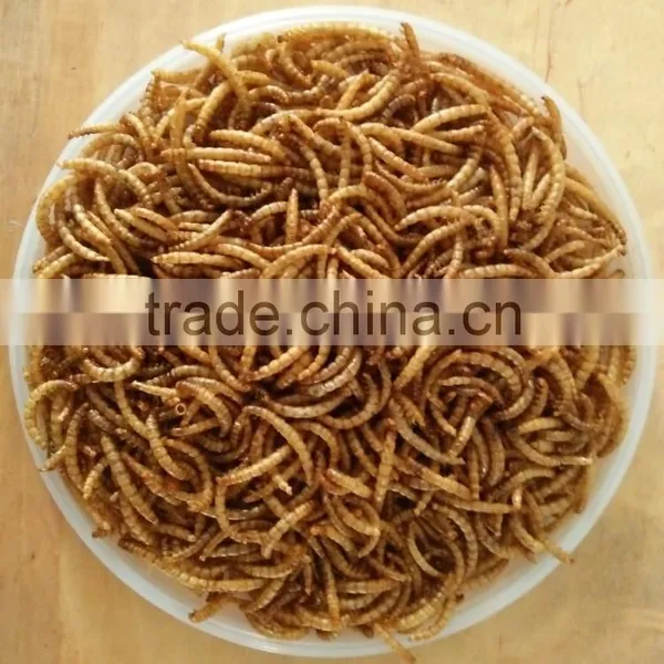 Organic Bird Food Dried Crickets // Dried Mealworms // Grasshopper photo-4