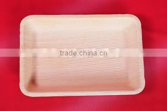 Biodegradable Tableware photo-2