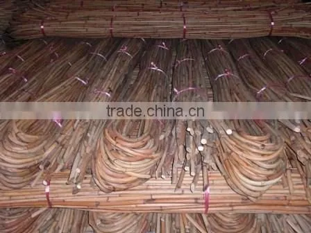 Red Water Rattan Cane photo-5