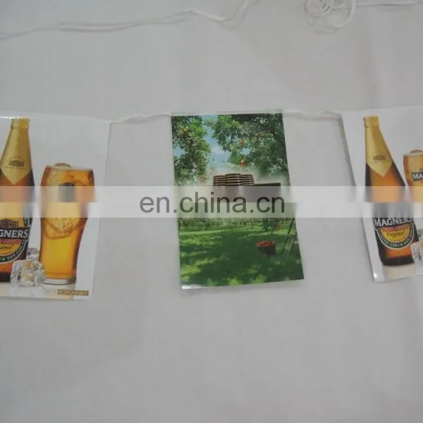 Custom PVC Flag Line/String Flags/bunting Flags photo-2