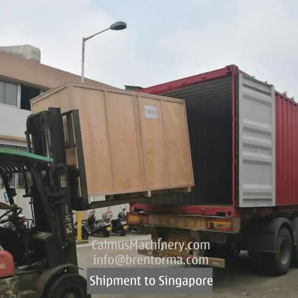 2TPH Singapore Ordered Commercial RO Water Filtration System photo-3