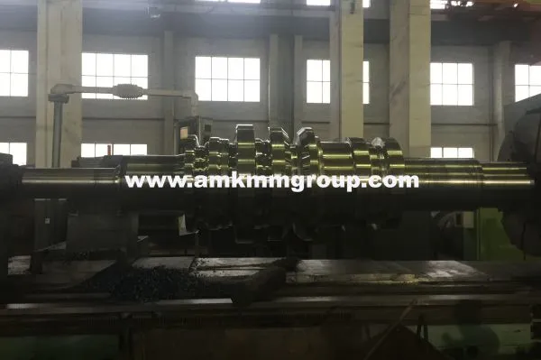 Nodular Cast Iron Roll photo-5