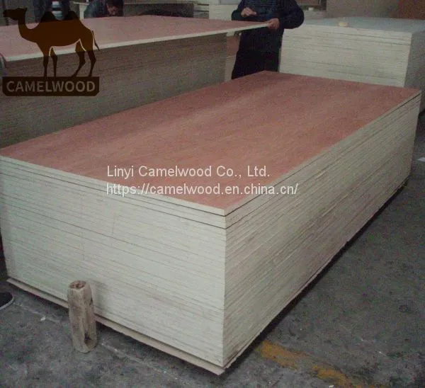 High Quality Commercial Plywood Melamine Plywood for Decoration photo-4