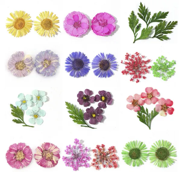 Natural Floral Leaf Stickers Dried Flowers Nail Pressed Flower Nail Art photo-3